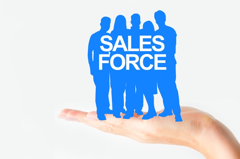 How Salesforce Implementation Partners Help Companies